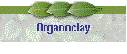 Organoclay